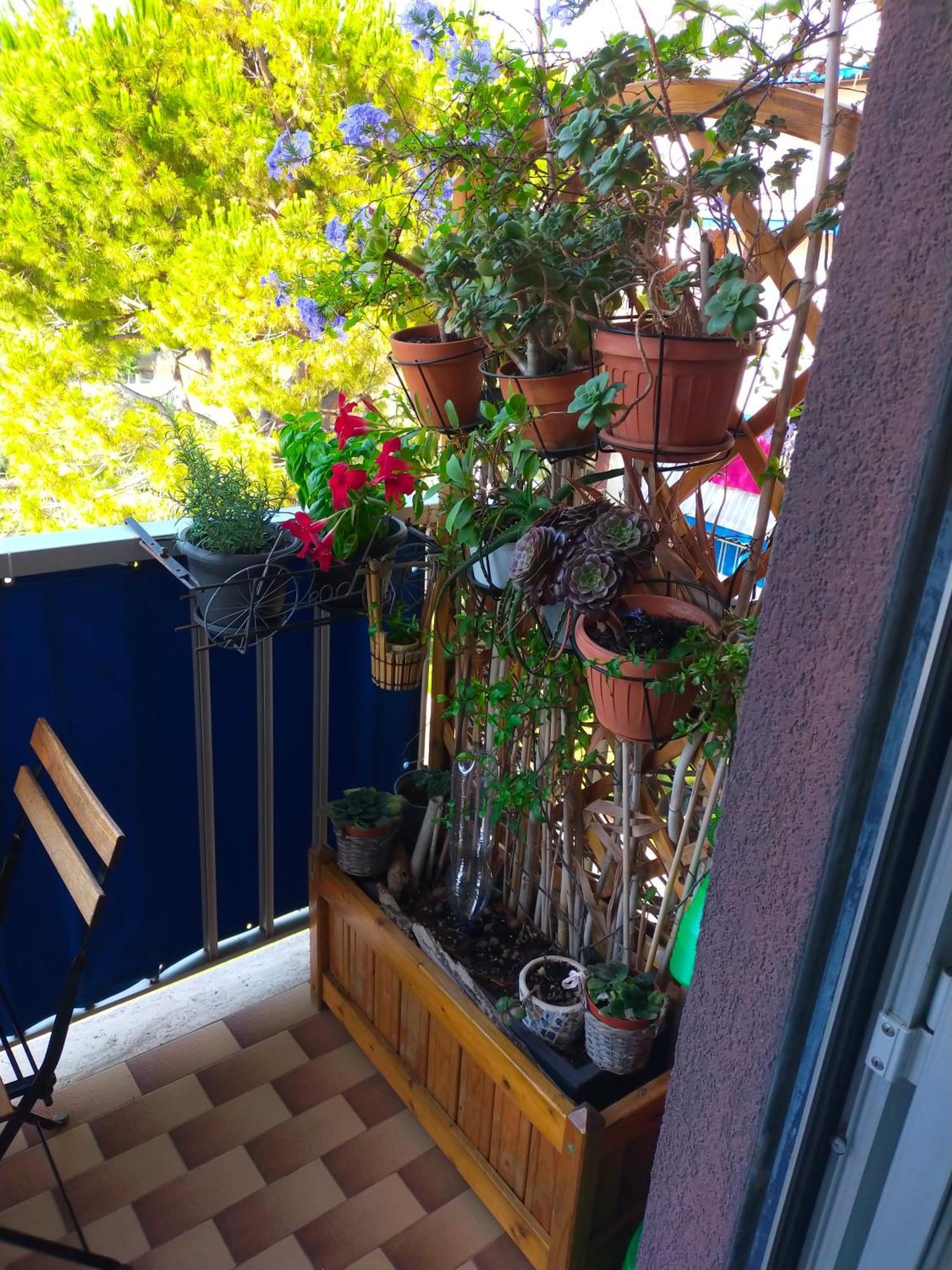 Appartamento Riviera Trilocale Wifi E Parcheggio Privato ヴェンティミーリア エクステリア 写真